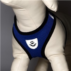 Комплект амуниции с мягкой шлейкой и светоотражающей нашивкой, M, ОШ 26, ОГ 36-44, синий