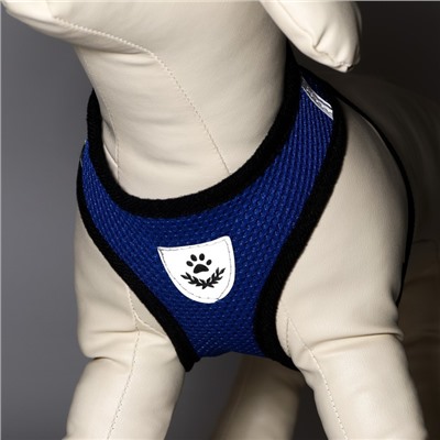 Комплект амуниции с мягкой шлейкой и светоотражающей нашивкой, M, ОШ 26, ОГ 36-44, синий