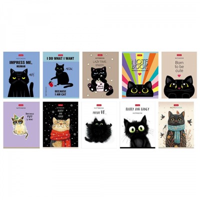 Записная книжка А6  32л клетка "Котэ" мат.лам (090687) Хатбер