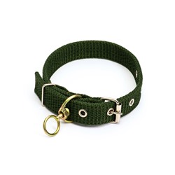 Ошейник двухслойный с вертлюгом, 2.5 см, зелёный