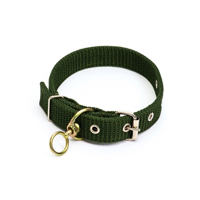 Ошейник двухслойный с вертлюгом, 2.5 см, зелёный
