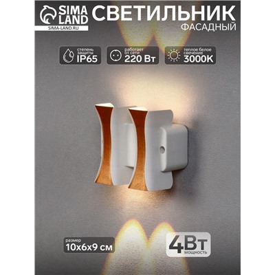 Светильник фасадный «Элегант», 4 Вт, 3000К, 2 луча, IP65, 220 В, пластиковый корпус, белый, свечение тёплое белое