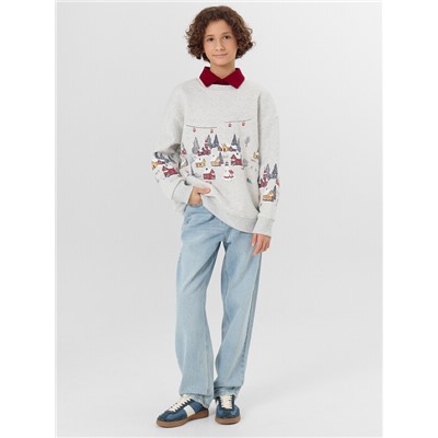 СВИТШОТ ДЛЯ МАЛЬЧИКОВ 123437/1