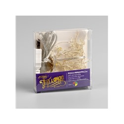 Гирлянда «Мишура» 2 м роса, IP20, серебристая нить, 100 LED, свечение мульти, USB