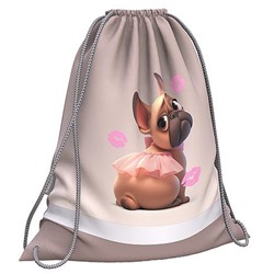 Сумка для сменной обуви 36,5х44 см Frenchie 64940 ErichKrause