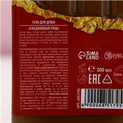 Подарочный набор новогодний «Счастья в Новом году!», гель для душа 300 мл, бомбочки для ванны 4×40 г, Чистое счастье