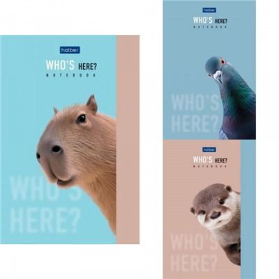 Блокнот А6  40л клетка на склейке "Кто здесь?" (093598) Хатбер