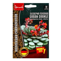 Семена цветов Эхеверия Urban Orange пекокка  5др.  12.29 г.