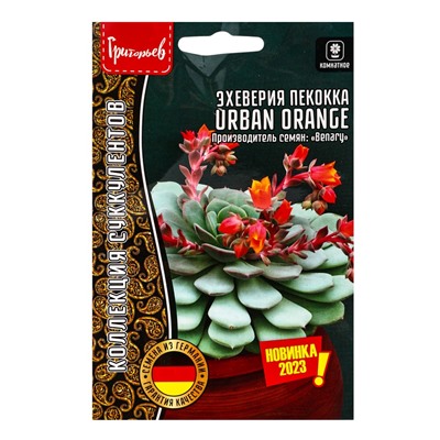 Семена цветов Эхеверия Urban Orange пекокка  5др.  12.29 г.
