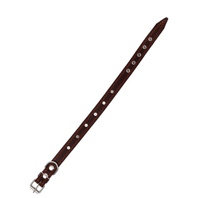 Ошейник кожаный «Строгий шип», 56×2.5 см, ОШ 35-45 см, коричневый