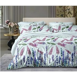 Текс-плюс КПБ Общий НФ-00227641