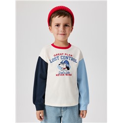 Acoola Джемпер 20120150133