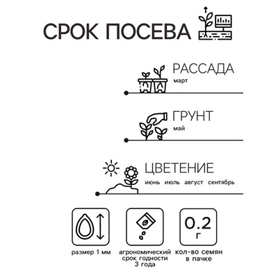 Семена  цветов Флокс "Звездный дождь", смесь окрасок, О, набор 5 шт