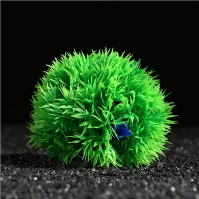 Растение искусственное аквариумное «Шар», с распылителем, 10×10 см