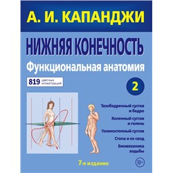 Эксмо А. И. Капанджи "Нижняя конечность: Функциональная анатомия (обновленное издание)"