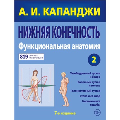 Эксмо А. И. Капанджи "Нижняя конечность: Функциональная анатомия (обновленное издание)"