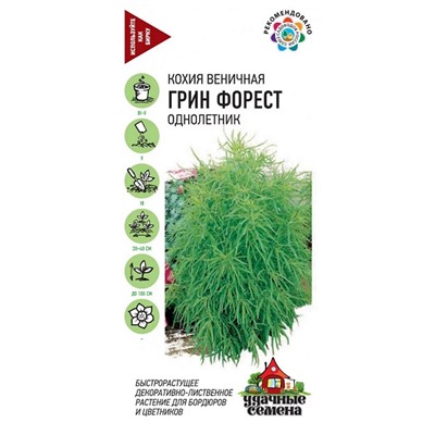 Кохия Грин Форест УС (Код: 92907)