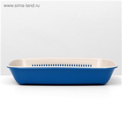 Туалет для кошек, 33.5×25×6 см, округлый, с сеткой, пластик, бежевый, синий