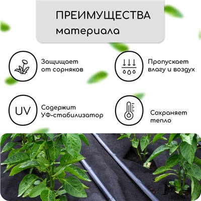 Материал мульчирующий, с перфорацией, 5×0.8 м, плотность 80 г/м², спанбонд с УФ-стабилизатором, чёрный, Greengo, Эконом 30%
