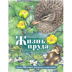 АСТ Габеева Н.М. "Жизнь пруда"