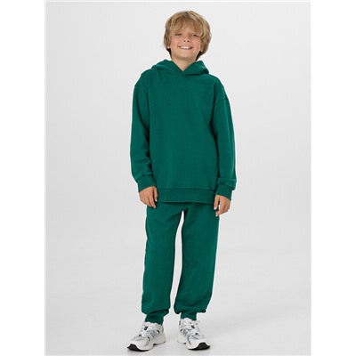 КОМПЛЕКТ ДЛЯ МАЛЬЧИКОВ (ХУДИ, БРЮКИ) 393334