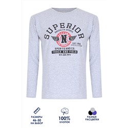 Футболка с длинным рукавом ФН176 Superior