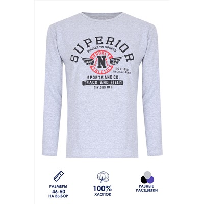 Футболка с длинным рукавом ФН176 Superior