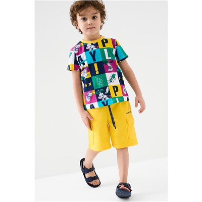 Фуфайка трикотажная для мальчиков (футболка) PLAYTODAY, 1239589