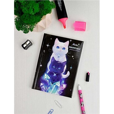 Записная книжка А6  64л "Мои секретики" "ДВА КОТА" поролон 68998 Феникс