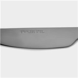 Нож столовый «Тайфун», длина 22.5 см, нержавеющая сталь, серебристый