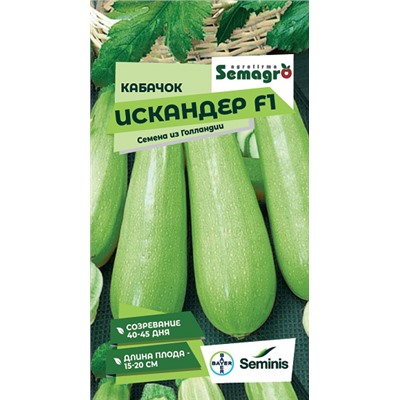 8044N Кабачок Искандер F1 5шт