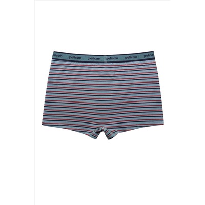 Набор трусов для мальчиков PELICAN, 1232826
