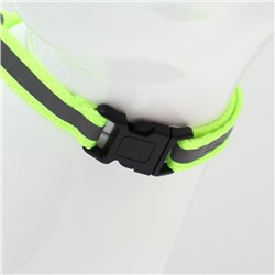 Комплект для кошек светоотражающий, ширина 1 см, шлейка 21-35 см, поводок 120 см, зелёный