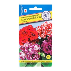 Семена цветов Глоксиния "Брокэйд", F1, 5 шт.