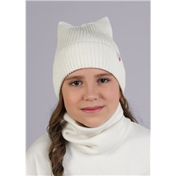 452352 CLEVER Шапка