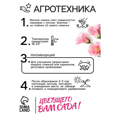 Семена цветов Эустома "Супер Мэджик" F1 смесь, О, DARIT  8 шт