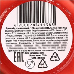 Мёд кремовый «Земляника», с земляникой, 120 г