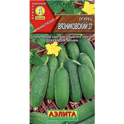 Огурец Вязниковский 37 Аэлита