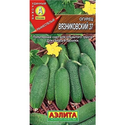 Огурец Вязниковский 37 Аэлита