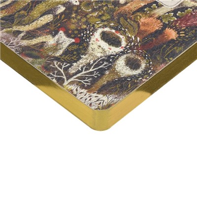 Ежедневник недатированный А6+ ЛАЙТ "Эльфийский лес" 3-742/11 Bruno Visconti