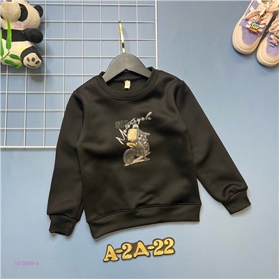 Толстовка 1812889-4