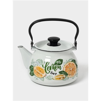 Чайник эмалированный «Лимонный сет», 3 л, металлическая ручка, белый