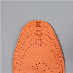 Стельки для обуви, универсальные, амортизирующие, дышащие, р-р RU до 47 (р-р Пр-ля до 46), 29.5 см, пара, коричневые