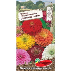 Цинния Дыхание осени смесь (Премиум)