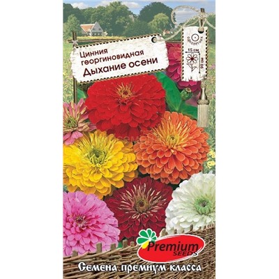 Цинния Дыхание осени смесь (Премиум)