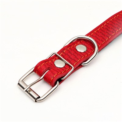 Ошейник кожаный с тиснением на синтепоне, 65×3 см, ОШ 40-55 см, красный