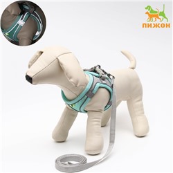 Шлейка с поводком, размер S, ОШ 33-36 см, ОГ 35-40 см, поводок150×1.5 см, ОШ 33-36 см, ОГ 35-40 см, быстросъёмная, мягкая, бирюзовая