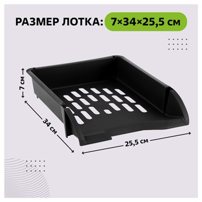 Лоток для бумаг горизонтальный ЛИДЕР черный ЛТГ-30465 Стамм