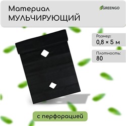 Материал мульчирующий, с перфорацией, 5×0.8 м, плотность 80 г/м², спанбонд с УФ-стабилизатором, чёрный, Greengo, Эконом 30%