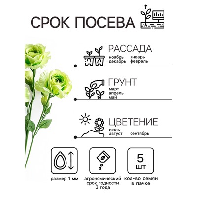 Семена цветов Лизиантус F1 «Эйбиси», зеленая, 5 шт., «Дом семян»